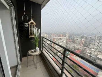 Imagen 11