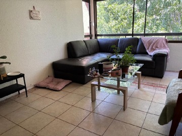 Imagen 6