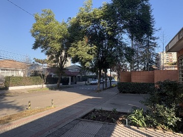 Imagen 29