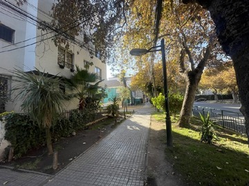 Imagen 11