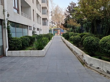Imagen 20