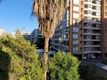 Imagen 23