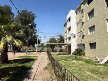 Imagen 13