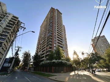 Imagen 19