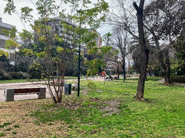 Imagen 6