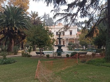 Imagen 19