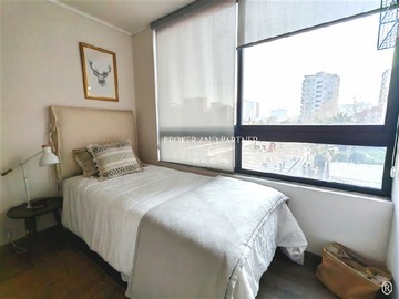Imagen 13