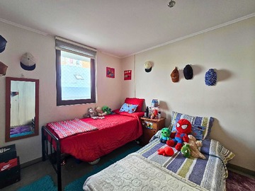 Imagen 15