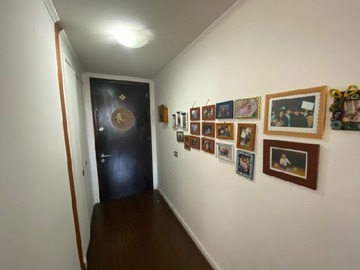 Imagen 7