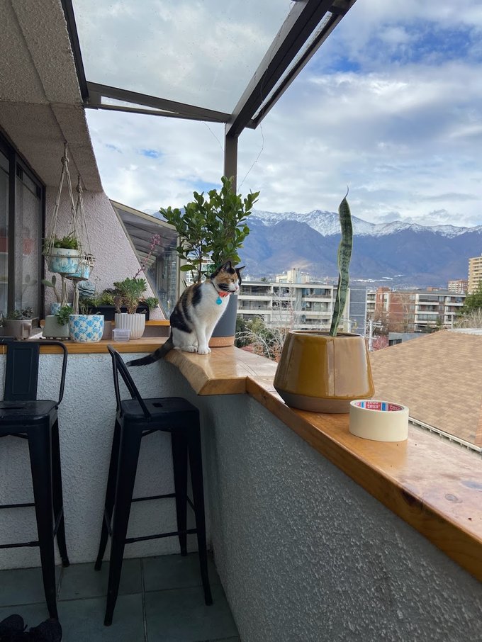 Terraza