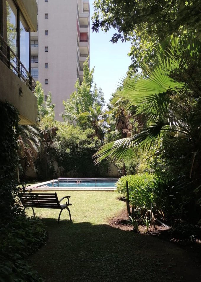 Pisicina y áreas verdes