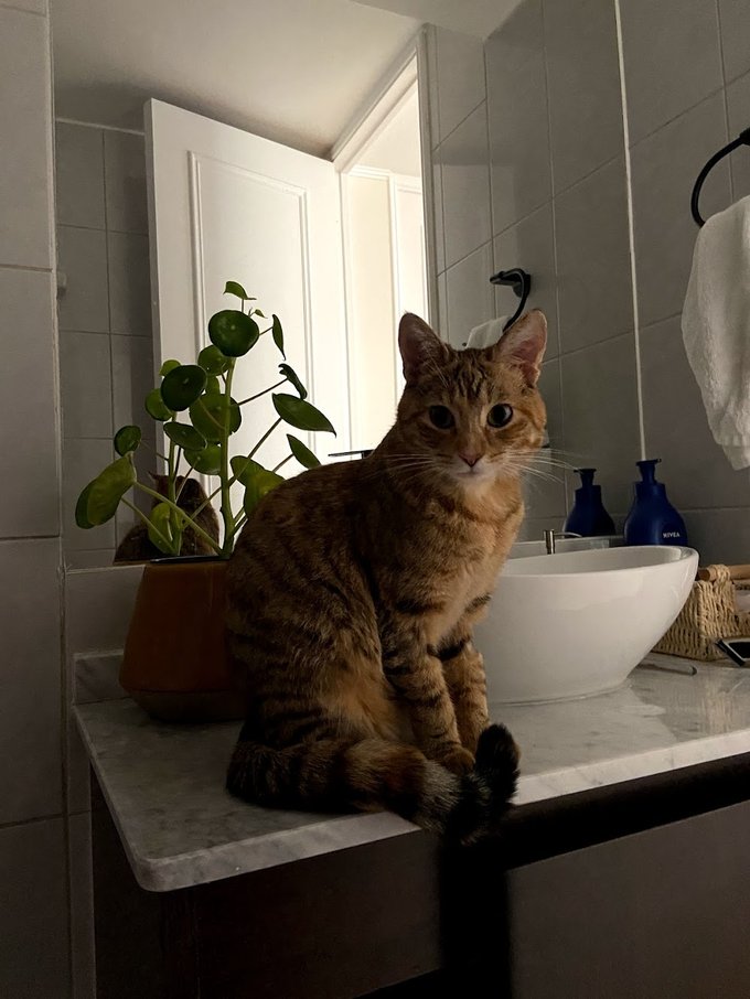 Baño principal