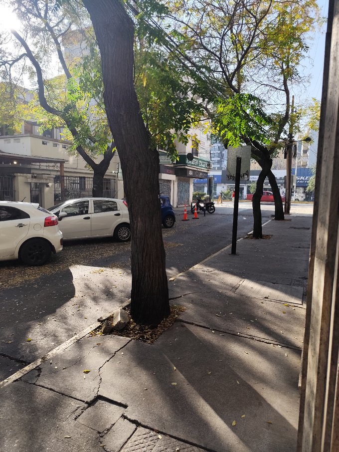 Calle-Estacionamientos Público