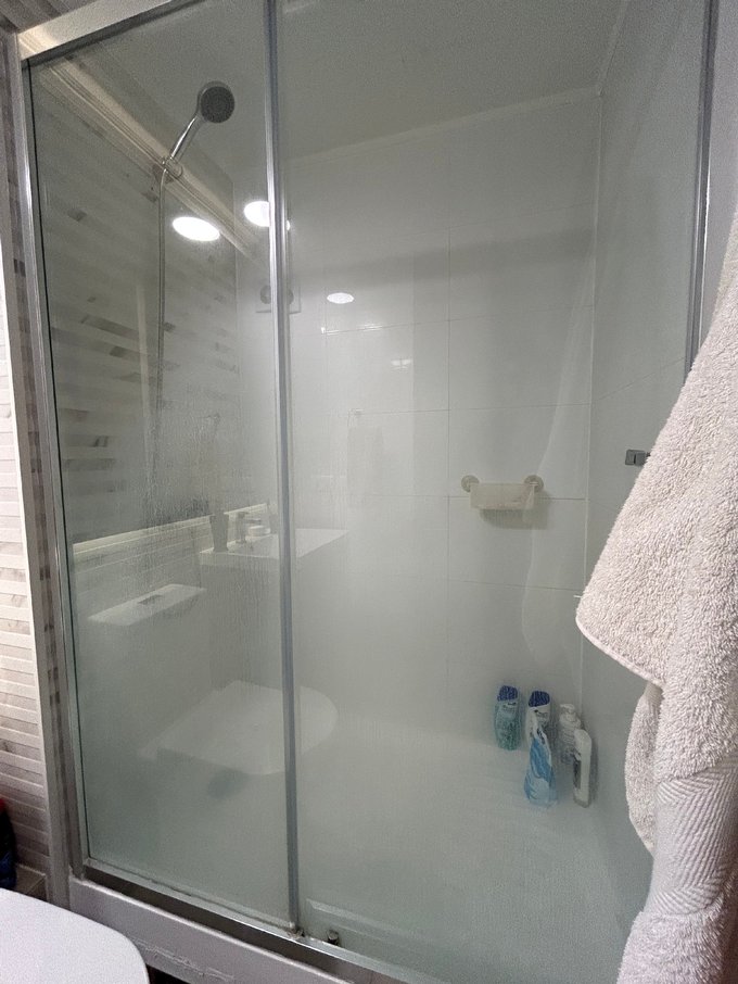 Shower door
