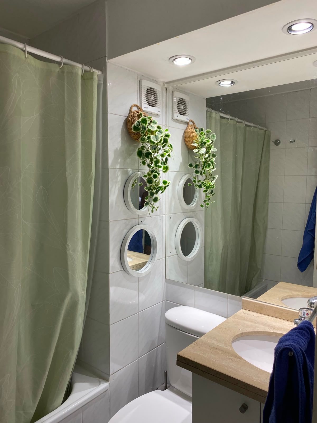 Baño Visita
