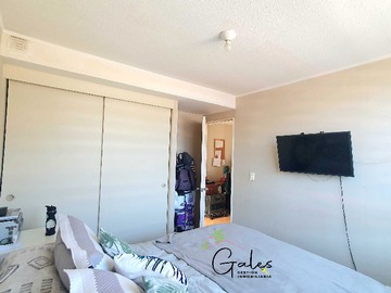 Venta / Departamento / Padre Las Casas