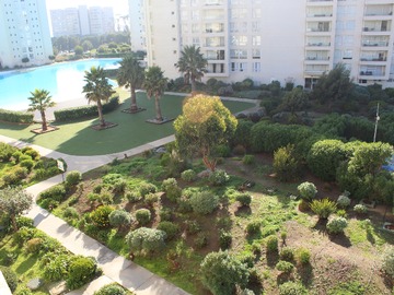Imagen 7