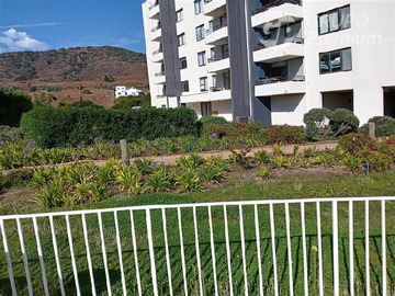 Imagen 21