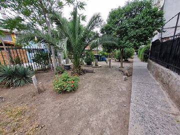 Imagen 15