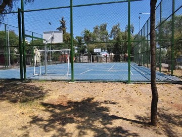 Imagen 11