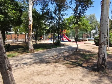 Imagen 12