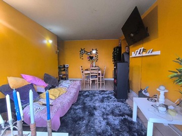 Imagen 7