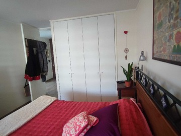 Imagen 5