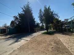 Imagen 21