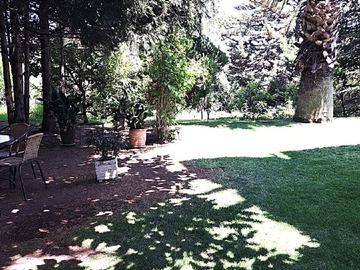 Imagen 23