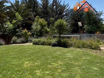 Imagen 20