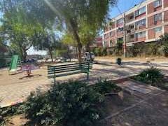 Imagen 20