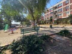 Imagen 19