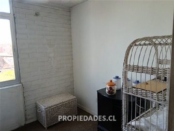 Imagen 7