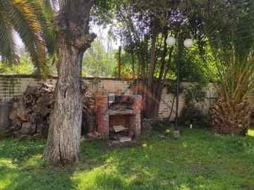 Imagen 20