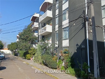 Imagen 11