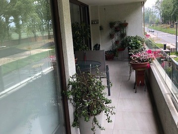 Imagen 9