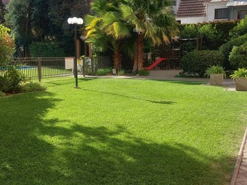 Imagen 10