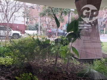 Imagen 25
