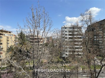 Imagen 15
