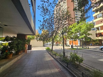 Imagen 12