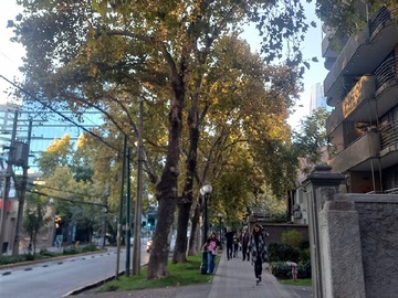 Imagen 6