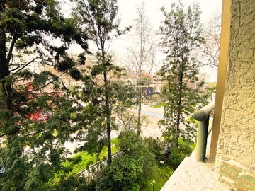 Imagen 5