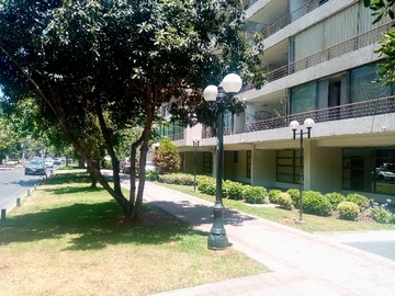 Imagen 12
