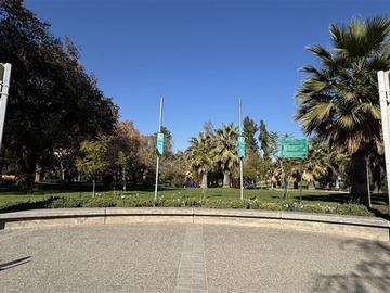 Imagen 23