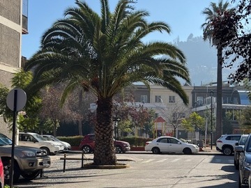 Imagen 18