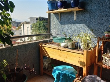 Imagen 5