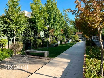 Imagen 15