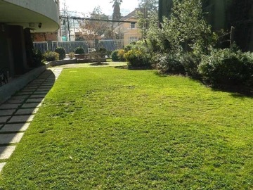 Imagen 18