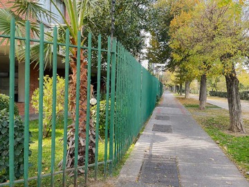 Imagen 21