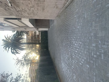 Imagen 41